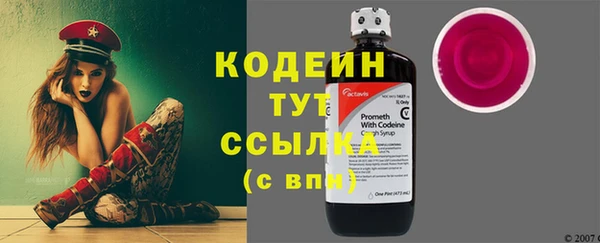 соль ск Иннополис