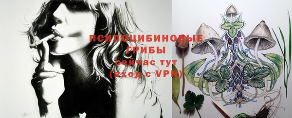 круглые Инсар